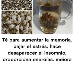 Té para aliviar huesos, potenciar la memoria y activa la circulación