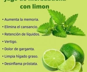 RECETA FACIL DE HIERVABUENA CON LIMON