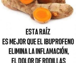 Esta Raíz Mejor Que El Ibuprofeno