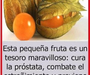 Esta Pequeña Fruta es un Tesoro: Trata la Próstata, Combate el Estreñimiento y Previene el Cáncer de Estómago, Colon e Intestino.