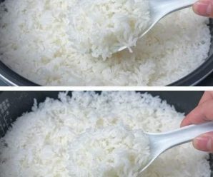 Cómo identificar el arroz falso (arroz plástico) que nos venden