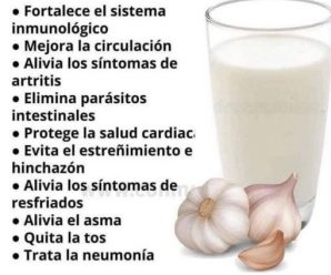 AJO EN LA LECHE