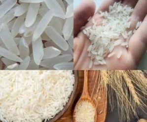 Así puedes identificar el arroz real del arroz de plástico