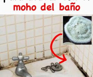 Cómo Eliminar el Moho de Tu Baño Naturalmente