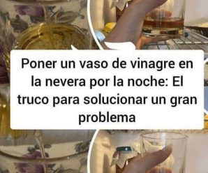 Vinagre en la Nevera: Un Truco Simple con Grandes Beneficios