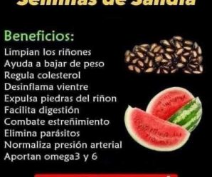 COMO PREPARAR ÉL TE DE SEMILLAS DE SANDÍA PARA LIMPIAR LOS RIÑONES