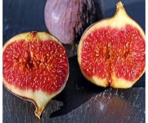 Los higos no son una fruta, son una flor y tienen insectos dentro