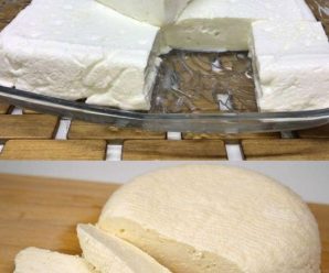 Cómo Hacer el Mejor Queso Casero con 1 Litro de Leche