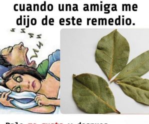 Hoja de Laurel. elimina ronquidos, jaquecas y más