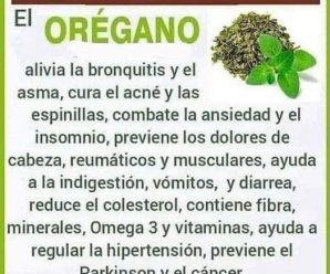 BENEFICIOS DEL OREGANO PARA TU SALUD QUE POCOS SABEN