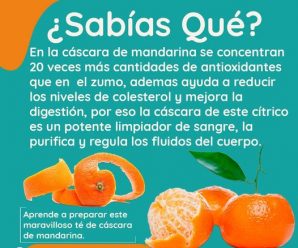 Beneficios del Té de Cáscara de Mandarina para Tu Salud