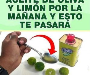 MEZCLA LIMÓN CON ACEITE DE OLIVA Y SANTO REMEDIO