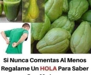 JUGO DE TAYOTA PARA DESAPARECER PIEDRAS EN LOS RIÑONES DE UN SOLO GOLPE.