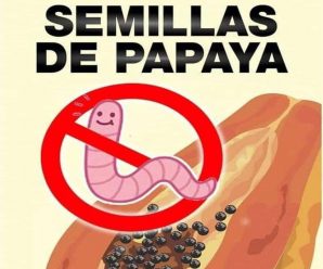 10 beneficios de las semillas de papaya de los que nadie habla