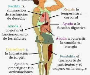 Descubre los Grandes Beneficios de Mantenerse Hidratado: El Poder del Agua