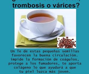 Té de Semillas de Uva: El Remedio Natural para la Circulación y Problemas Vasculares