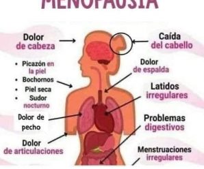 Consejos para una menopausia feliz