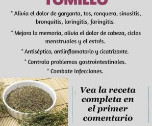 Muchos le llaman “el té de Dios” ya que cura la tiroides, lupus, vértigo, cansancio crónico y artritis.