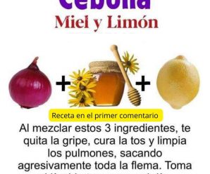 EL PODER CURATIVO DE LA MIEL, CEBOLLA Y LIMÓN: UNA MEZCLA MILAGROSA PARA RESPIRAR MEJOR