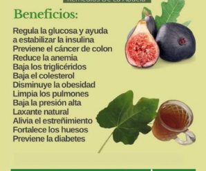 Los Beneficios de la Hoja de Higo: Una Mirada Detallada con Recetas y Beneficios