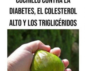 LA HOJAS DE HIGO SON UN CUCHILLO contra la diabetes, colesterol alto y triglicéridos..si nunca comentas déjame tan solo tu OK a modo de agradecimiento , no te cuesta nada hacerlo.