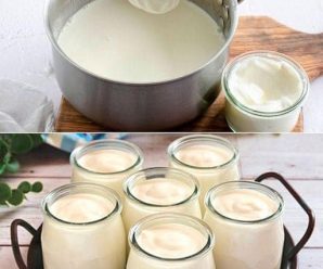 COMO PREPARAR TU PROPIO YOGURT GRIEGO