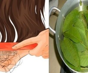 HIRVIENDO ÉSTAS HOJAS Y PONIÉNDOLAS EN TU CABEZA PUEDES PARAR LA CAÍDA DEL PELO – 3 RECETAS