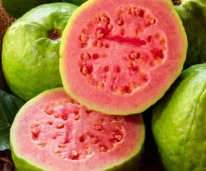 Los Increíbles Beneficios de la Guayaba: Una Joya Nutricional que Sorprende