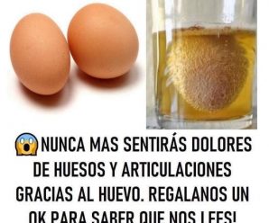 IMPRESIONANTE TODOS LOS BENEFICIOS DEL HUEVO