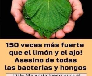 Esta hierba🌱 es 1 de las ➕ Poderosas que Existe pero Poca gente lo sabe (Beneficios del Orégano).