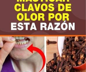 Beneficios del clavo de olor