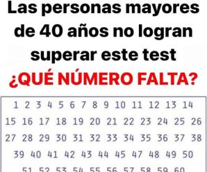 ¡SUPERA LOS DESAFÍOS DE LOS 8 NIVELES QUE DESAFÍAN A LAS PERSONAS MAYORES DE 40 AÑOS!