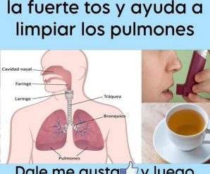 TÉ DE ORÉGANO PARA LA TOS Y LIMPIAR LOS PULMONES