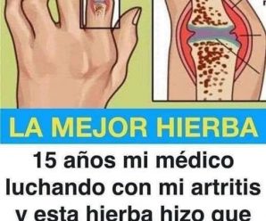 Hierbabuena con romero regenera cartílago dañado de cadera y rodilla