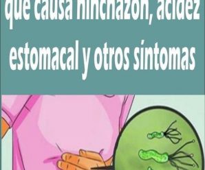 CÓMO COMBATIR NATURALMENTE LA BACTERIA HELICOBACTER PYLORI