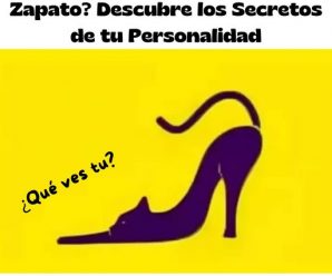 EL GRAN DESAFÍO ÓPTICO: ¿GATO O ZAPATO? DESCUBRE LOS SECRETOS DE TU PERSONALIDAD