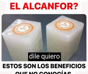 Los beneficios del Alcanfor que no conocías