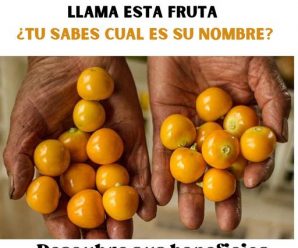 DESCUBRE LOS ASOMBROSOS BENEFICIOS DE LOS GOLDEN BERRIES PARA LA SALUD DIGESTIVA Y LA PREVENCIÓN DEL CÁNCER