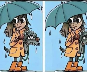 Momento Mágico bajo la Lluvia: Encuentra la Única Diferencia