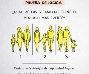 Prueba Psicológica: Adivina cual no es una familia en la imagen.