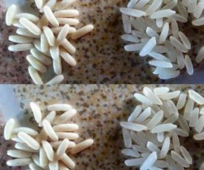 COMO DARTE CUENTA SI EL ARROZ QUE CONSUMES ES DE PLATICO