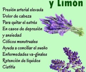 LIMONADA DE LAVANDA PARA CALMAR EL DOLOR DE CABEZA Y LA ANSIEDAD