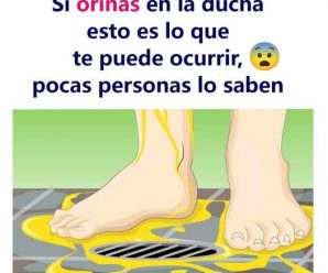 ¿ORINAR EN LA DUCHA ES MALO PARA LA SALUD?