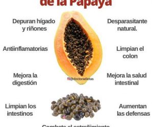 SEMILLAS DE PAPAYA PARA UN INTESTINO, HÍGADO Y RIÑÓN FORTALECIDOS