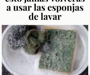 DESPUÉS DE LEER ESTO JAMÁS VOLVERÁS A USAR LAS ESPONJAS DE LAVAR