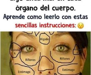 HOY TE ENSEÑAREMOS A LEER TU ROSTRO PARA SABER TU ESTADO DE SALUD