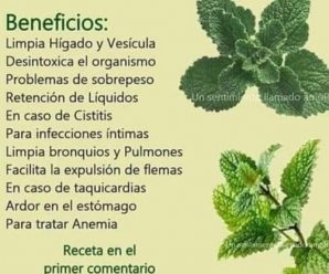 Esta planta sana casi de inmediato el hígado graso, la vesícula y desinflama el intestino en 2 horas