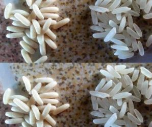 CÓMO IDENTIFICAR EL ARROZ FALSO (ARROZ PLÁSTICO) QUE NOS VENDEN