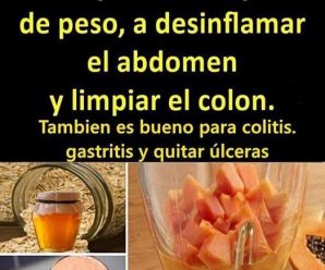 LICUADO DE PAPAYA: TU ALIADO PARA PERDER PESO Y DESINFLAMAR TU CUERPO INSTANTÁNEAMENTE