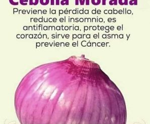 Vas A Querer Comer Cebolla Todos Los Días Después De Saber Todo Lo Que Le Hace A Tu Cuerpo.